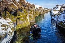 Scuba diver coming up after a dive inside the volcanic crack Nesgja, in the Asbyrgi National Park, northern Iceland