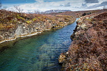 View of Davosgja fissure located in Lake Thingvellir, a favourite among local divers but not as famous as Silfra, Thingvellir National Park, Iceland.