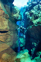 Diver submerges into Silfra Canyon, a fissure between the Eurasian and American tectonic plates, Thingvellir National Park, Iceland.