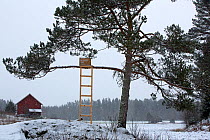 Artwork by Sunniva Munster 'Chair 1' in winter. Valer, Ostfold County, Norway. January 2015.