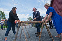 Artists and mayor cutting wood for Land art project in  Valer municipality, Ostfold County, Norway. September 2014.