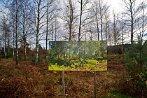 Changing seasons, summer image / photograph in autumn landscape, 'The passage of time' by artist Pal Hermansen. Valer, Ostfold County, Norway. October 2015.