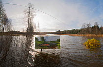 Changing seasons, a summer photograph displayed in landscape flooded in autumn, 'The passage of time' by artist Pal Hermansen. Valer, Ostfold County, Norway. October 2015.