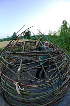 Artist Jan Erik Sorenstuen working on 'Syljusal', a framework of live willow which develops leaves and grows,  inspired by Bronze age housing. Valer. Ostfold County, Norway. July 2014. Model released.