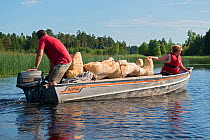 Transportation of artwork by boat. Valer, Ostfold County, Norway. July 2014.  Model released.