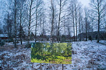 Summer forest in winter, landscape through changing seasons - photograph by Pal Hermansen 'The passage of time' of the same scene in summer,   Valer, Ostfold County, Norway. January 2015.