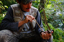 Biologist Franz Kaston with Olive forest racer (Dendrophidion dendrophis) whilst carrying out a survey of biodiversity in Sierra Nevada de Santa Marta, Colombia.