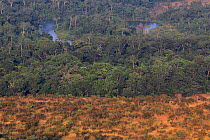 Patchwork of savannah and gallery forest, Bateke Plateau NP, Gabon.