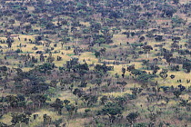 Aerial view of patchwork of savannah and gallery forest, Bateke Plateau NP, Gabon.