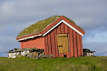 Old barn used for Common eider (Somateria mollissima) duck shetler, Skjaervaer island, Vega archipelago, Norway