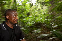 Mr Bokika with trackers in charge of Bonobo (Pan paniscus) habituation.  Mr Bokika is the leader of M'boumontour NGO, supporting the development and protection of the local bonobo population, Democrat...