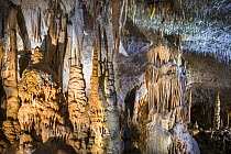 Assorted stalagmites and stalagtites and other speleothems (mineral deposits formed from groundwater) at Postojna Cave, Slovenia. April 2016.