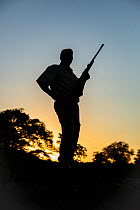 Ranger with rifle, silhouetted at sunset, Kruger National Park, Mpumalanga Province, South Africa.