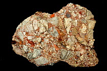 Leesburg limestone conglomerate from Frederick County, Maryland, Formed in a Triassic period.