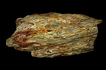 Weathered Marburg schist, from Montgomery county Maryland, USA. From Lower Paleozoic period