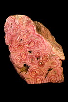 Rhodochrosite a manganese carbonate mineral with chemical composition MnCO3. In its (rare) pure form, it is typically a rose-red color, but impure specimens can be shades of pink to pale brown, Argent...
