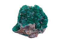 Dioptase, copper cyclosilicate mineral, Tsumeb mine, Namibia