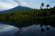 Mount Gamalama volcano.  Active volcano on Ternate Island reflecting in a pond. Maluku Islands, Indonesia 2008