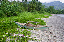 Small dugout canoe with outriggers on beach with beach Morning glory flowers (Convolvulaceae) Bantanta Island, Papua, Indonesia