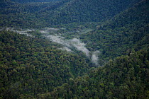 Rainforest covered valley in the Sarawaget range, Huon Peninsula, Papua New Guinea.  November 2006.