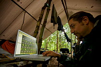 Edwin Scholes reviewing videos on his laptop at base camp in the lowland rainforest near Oransbari, West Papua, New Guinea. August 2009.