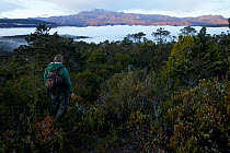 Bird of Paradise researcher Edwin Scholes hiking toward fog covered Lake Habbema before sunrise to search for the Splendid Astrapia Bird of Paradise. Jayawijaya Mountains, New Guinea.