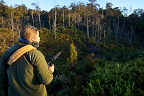 Bird of Paradise researcher Edwin Scholes searching for Splendid Astrapia Bird of Paradise in the montane forest near Lake Habbema, New Guinea. June 2010.