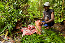 Manu Karey cutting up a deer killed by hunters in the Badigaki Forest.  Aru Islands, Indonesia.