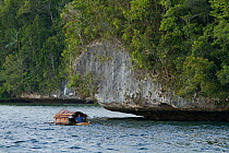 Outrigger canoe with roofed hut.  Kabui Bay, Waigeo Island.
