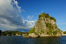 Limestone islands and coastline of Kabui Bay, Waigeo  and Gam Islands, West Papua, Indonesia.