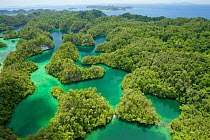 Aerial view of Hidden Bay in North Wwest peninsula of Gam Island. Raja Ampat Islands, West Papua, Indonesia.