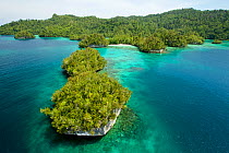 Aerial view of coast of Gam Island, Raja Ampat Islands, West Papua, Indonesia.