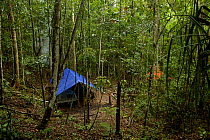 Camp in Senopi forest, Vogelkop Peninsula, West Papua, October 2010.