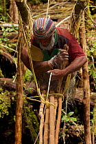 Huli elder constructing a traditional vine and pole suspension bridge over a stream. Papua New Guinea, November 2010.