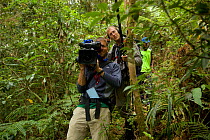 Cameraman Eric Liner and sound man Ian Fein at work in the tropical rainforest, Arfak Mountains, West Papua, New Guinea.