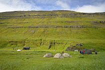 Remote campsite, Hofn, Hornvik, Hornstrandir, Iceland. July