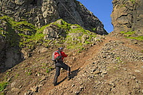 Photographer Megan Whittaker hiking a rough trail, Hornvik, Hornstrandir, Iceland. July 2015. Model released