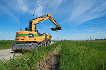 Digger excavating canal at edge of field, Fielouse, Camargue, France, May.