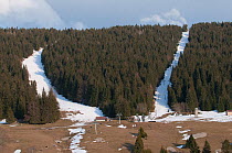 Ski slope upstream of Les Rousses which have degraded Capercaillie (Tetrao urogallus) habitat Jura, France. March.