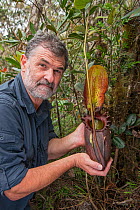 Photographer Adrian Davies, with Pitcher plant (Nepenthes rajah) Mount Kinabalu, Sabah, Borneo.