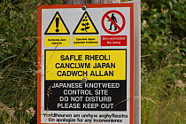 Japanese knotweed (Fallopia japonica) control sign, Snowdonia National Park, north Wales. July 2016.