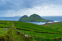 Skellig Islands, Puffin Island, County Kerry, Republic of Ireland. September 2015.