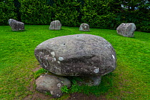 Kenmare stone circle, Kenmare, Iveragh Peninsula, County Kerry, Republic of Ireland. September 2015.