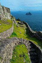 Monastery terraces on Skellig Michael, Skellig Islands World Heritage Site, County Kerry, Republic of Ireland. September 2015.