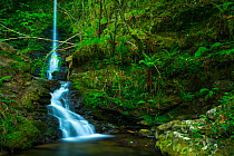 Cascades of Lamina waterfall, Lamina, Saja Besaya Natural Park, Cantabria, Spain, Europe. May 2015.