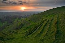 Sunset over Hambledon Hill Iron age Hill fort, Dorset, England, UK. April 2014.