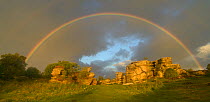 Rainbow over Brimham rocks, Nidderdale area of North Yorkshire, England, UK. August 2015.