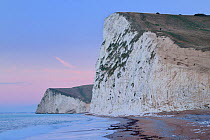 Beach and coastal chalk  cliffs at dawn, Bats Head, Durdle Door, Dorset, England, UK. January 2013.