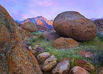 Huge granite boulders in spring landscape with Lone Pine Peak, illuminated by the rising sun. Alabama Hills near Lone Pine, California, USA, March.