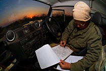 A researcher from the Endangered Wildlife Trust plots the position of an African Wild Dog (Lycaon pictus) pack on a map inside a Land Rover at dawn on Venetia Limpopo Nature Reserve, Limpopo Province,...